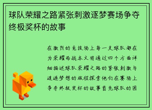 球队荣耀之路紧张刺激逐梦赛场争夺终极奖杯的故事