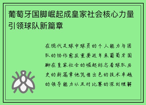 葡萄牙国脚崛起成皇家社会核心力量引领球队新篇章